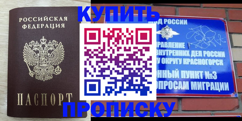 прописка гарантия в Кизляре